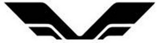 V logo