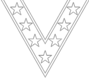 V logo