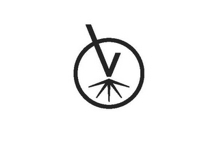 V logo