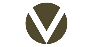 V logo