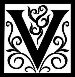 V logo