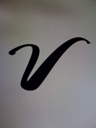 V logo