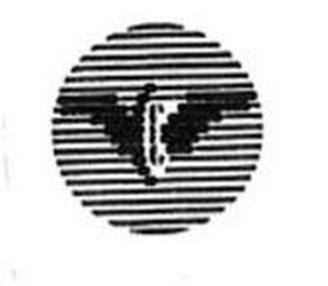 V logo
