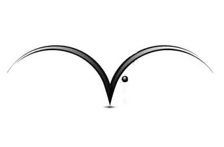V logo