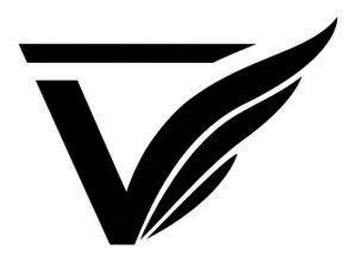 V logo