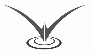 V logo
