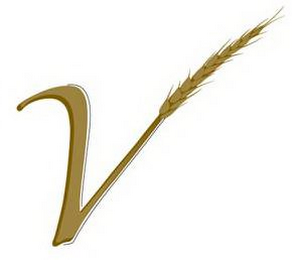 V logo