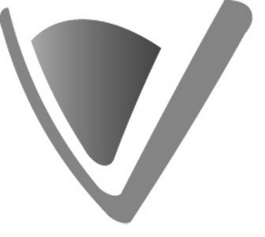 V logo