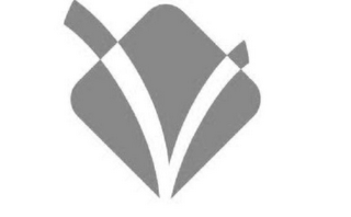 V logo