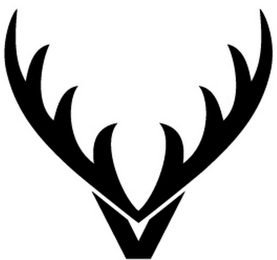 V logo
