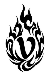 V logo