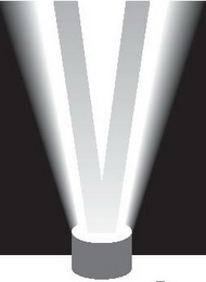 V logo