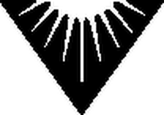 V logo