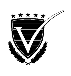 V logo