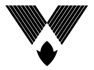 V logo