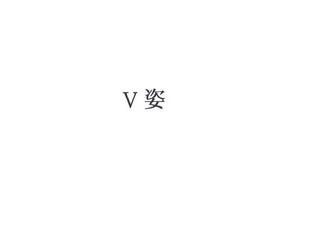 V logo