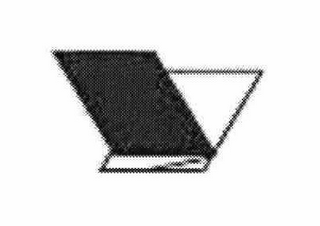 V logo