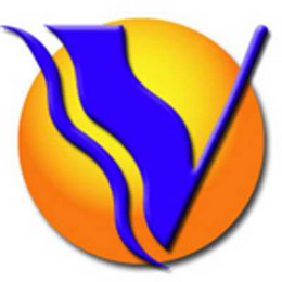 V logo