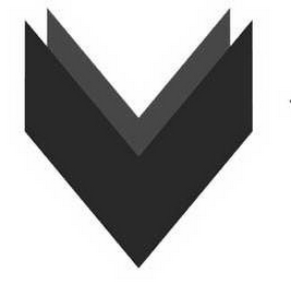 V logo