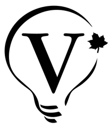 V logo