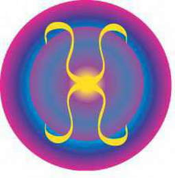 V logo