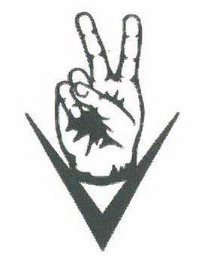 V logo