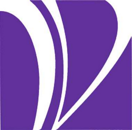 V logo