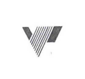 V logo