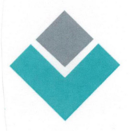 V logo