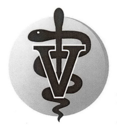 V logo