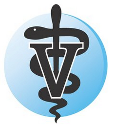 V logo