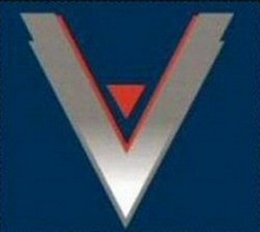 V logo