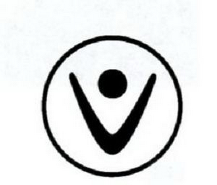 V logo