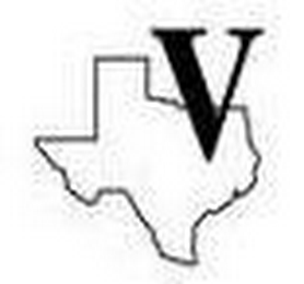 V logo