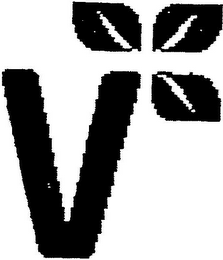 V logo