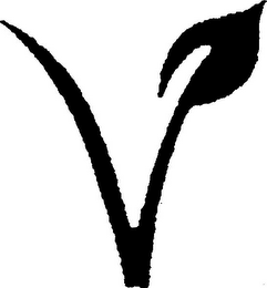 V logo