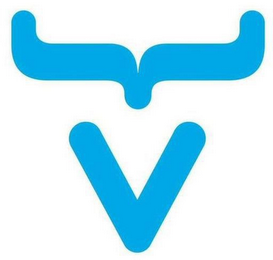 V logo
