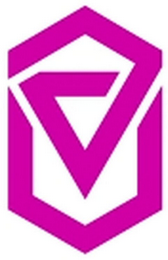 V logo
