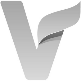 V logo