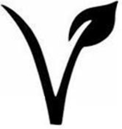 V logo