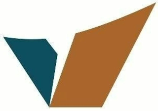 V logo