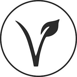 V logo