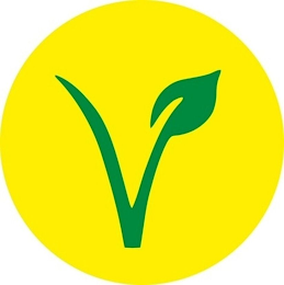 V logo
