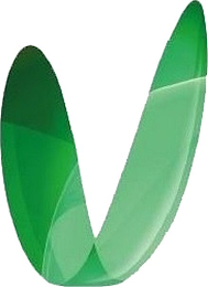 V logo