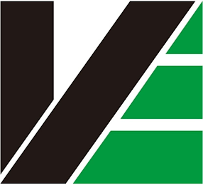 V logo