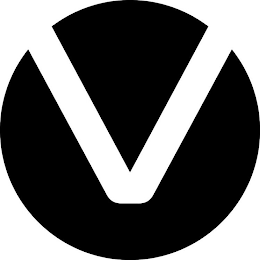 V logo