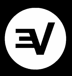 V logo