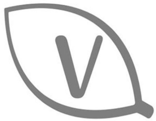 V logo