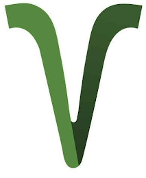 V logo