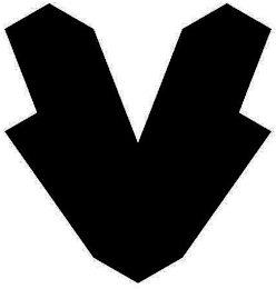 V logo